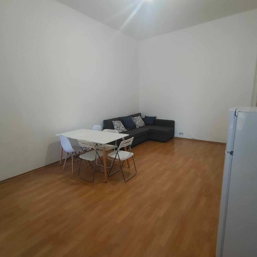 Large 4 Room Apartment In The Center Of فيينا المظهر الخارجي الصورة