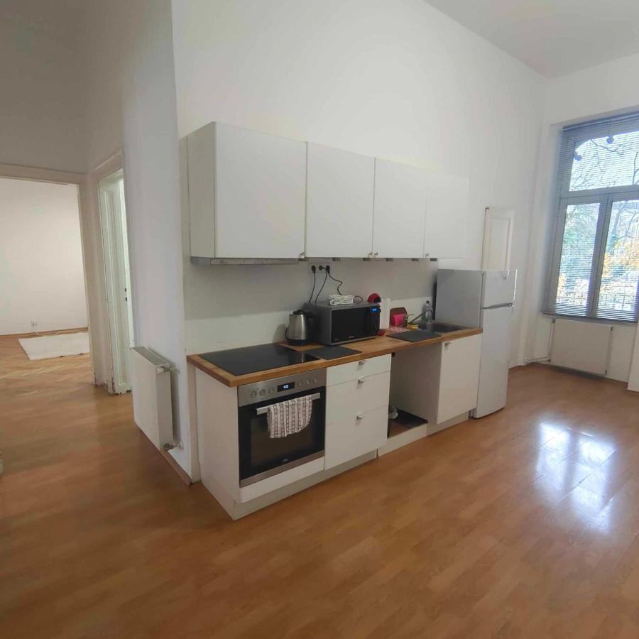 Large 4 Room Apartment In The Center Of فيينا المظهر الخارجي الصورة